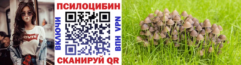 Галлюциногенные грибы прущие грибы  хочу   блэк спрут как зайти  Руза 
